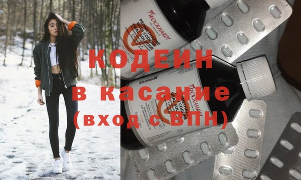 хмурый Корсаков