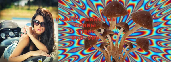 PSILOCYBIN Краснотурьинск
