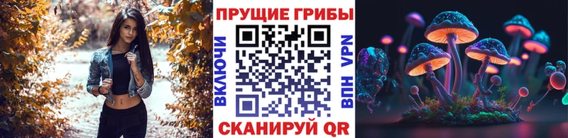 Псилоцибиновые грибы мицелий  купить   ссылка на мегу   Костерёво 